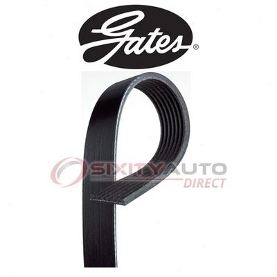 Gates Serpentine Belt for 1994-1996 Dodge Ram 1500 5.2L 5.9L V8 3.9L V6 - pv - Image 1 of 4