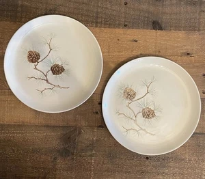 2 Platos de Cena Almuerzo Vintage Retro FRANCÉS SAXON China Invierno Piña 9" EE. UU. - Imagen 1 de 6