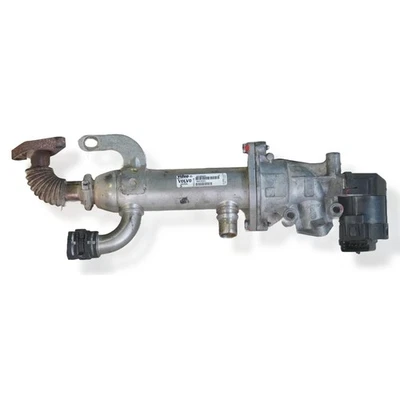 8653691 RAFFREDDATORE EGR / 1628667 PER FORD FOCUS C-MAX DM2 2.0 TDCI - Immagine 1 di 4