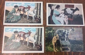 Lot of 4 Vintage Unposted Postcards Babies Nanny Goats Cuban Wet Nurse Milking - Picture 1 of 9
