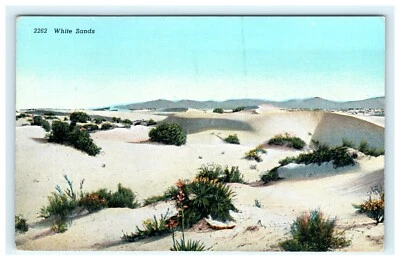 Great White Sands Alamogordo NM, New Mexico Postcard - Image 1 of 2