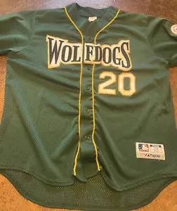 Roy Hobbs League Authentic Baseball Jersey Wolfdogs Cleveland #20 - Picture 1 of 10