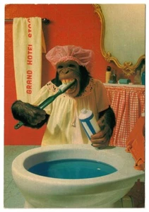 Comic Postkarte Schimpanse putzt Zähne in Toilette - Bild 1 von 2