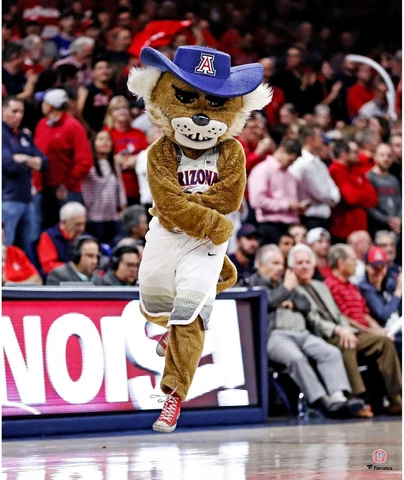 Arizona Wildcats Unsigned Wilbur T. Wildcat Dancing Photograph Cover
