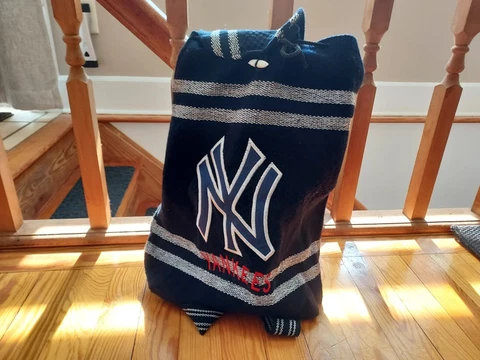 NEW YORK YANKEES SINCH SACK CLOTH Satchel Book bag BACKPACK Cover