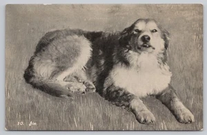 Ezra Meeker 1911 Expedition Postcard #10: Jim, Meeker's Dog - Picture 1 of 2