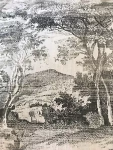 Jane Churchill Eden Fabric In Charcoal (No Returns) - Picture 1 of 9