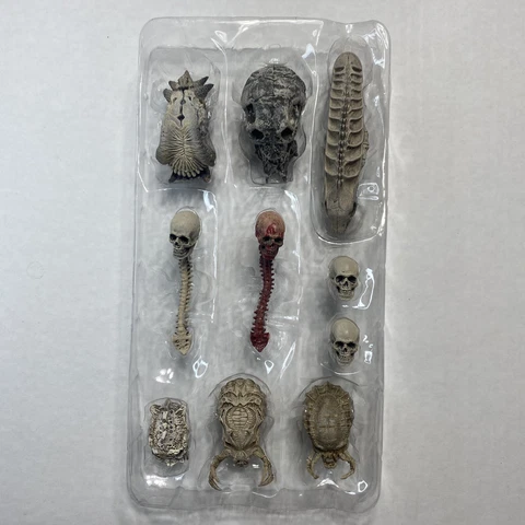 Predator 2 Trophy Wall 10 Pack Of Skulls - SKULLS ONLY Cover