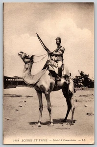 Postcard - Camel Soldier in Africa - Soldat a Dromadaire - Picture 1 of 2