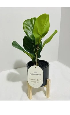Umbral Artificial Imitación Hoja Violín Planta en Maceta Planta con Soporte para Decoración del Hogar Foto 1 de 4