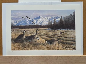 Charles Gause "Heralds of Spring" Signed /#'d Limited Edition FULL Sized Damaged - Picture 1 of 10