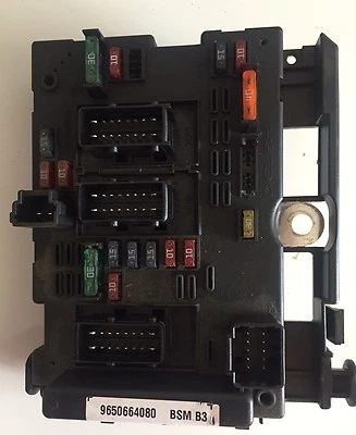 BSM B3 Delphi Citroen Peugeot 206 807 Xsara 307 406 9650664080 - Photo 1/2