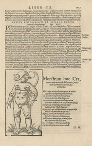 Monstrum hoc Cracoviae. El monstruo de Cracovia, nacido en 1547. SEBASTIAN MÜNSTER 1572 - Imagen 1 de 1