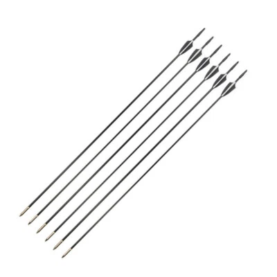   12X Fiberglass Arrows 30 Inch Bow Arrows Recurve Bow Compound Archery Hunting - Image 1 of 4