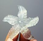 Natural Polished Fluorite Quartz Crystal Stone Carved Starfish Carving Healing