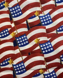 BANDERA AMERICANA 🇺🇸 BANDERA EE. UU. con TELA ESTRELLA MEDIA YARDA PATRIÓTICA 18x44 ENVÍO GRATUITO - Imagen 1 de 12