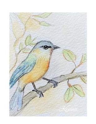 "Pintura acuarela original Aceo de Kenna HP Bird 2,5"" X 3,5""" Foto 1 de 4