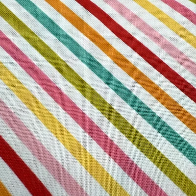 Riley Blake Fabric Rainbow Stripe Fancy Free Pattern #C4064 2 yards x 44" w - Image 1 of 4