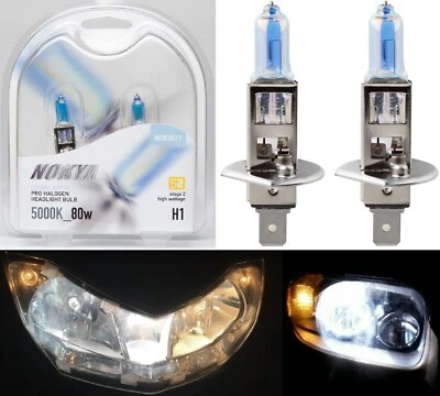Nokya 5000K White H1 Nok8017 80W Two Bulbs Fog Light Replacement Plug Play Lamp - Image 1 of 4