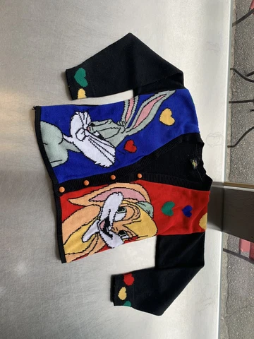 vintage spacejam sweater Cover