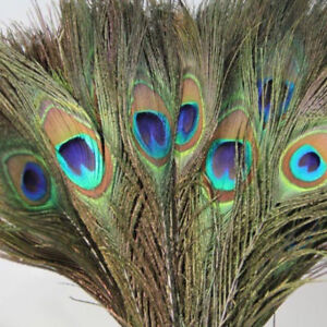 10x PEACOCK TAIL FEATHERS NATURAL 20-22" INCHES LONG FOR BOUQET MILLINERY CRAFT