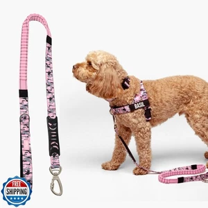 DF Co. Bungee Dog Leash | Strain Free and Shock Resistant for Control | Neopr - Picture 1 of 5