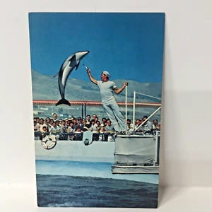 Postkarte Marineland of the Pacific California, Schweinswal-Stadion CA - Bild 1 von 2