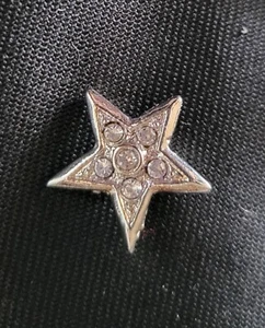 Officers pin OES  Associate Patron   silver   post back - Picture 1 of 1