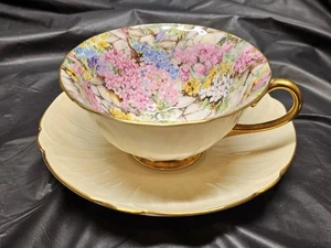 Vintage Shelley Cup + Saucer Maroon Rock Garden England - Picture 1 of 7