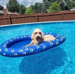 Dog Pool Float Inflatable Floaties Swimming Lounger - Picture 1 of 3