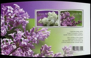 Canada Stamps Souvenir sheet of 2, Lilacs, #2206 MNH - Picture 1 of 1