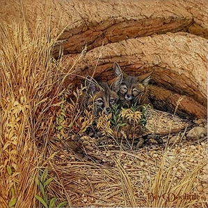 Bev Doolittle FOX HAVEN Open Edition Fine Art Print - Picture 1 of 2