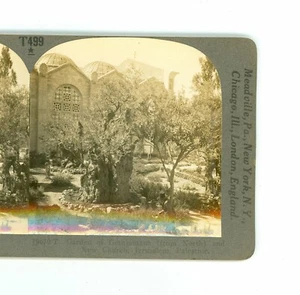 B7236 Garden Of Gethsemane, And New Church, Jerusalem, Palestine D - Picture 1 of 2