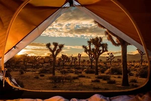 Tela Hoffman Hoffman Desert Sleeping Under the Stars con vista de tienda 34,5 x43 pulgadas de ancho - Imagen 1 de 1