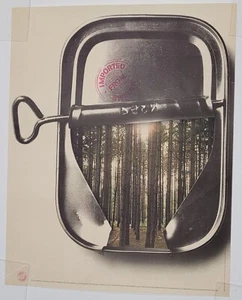 Curtis Paper Company Poster, c1970 - Picture 1 of 5