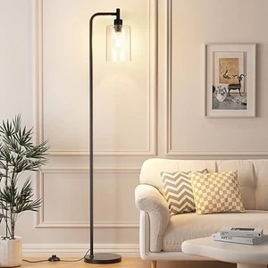 (COL)Industrial Floor Lamp with Glass Shade - Black, LED Bulbs, Foot Clear-Black - Picture 1 of 10