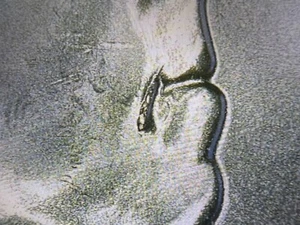 2022 P Maya Angelou Washington Quarter, "Drooling George" Error~LQQK!~ - Picture 1 of 5