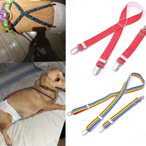 Pet Supplies Female Dog Diaper Suspender Dog Diaper Keeper Suspender 4 Sizes - Picture 1 of 26