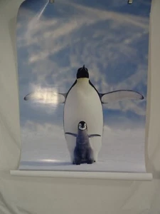 Penguin & Chick Poster 36" x 24" #2400-1246 - Picture 1 of 9