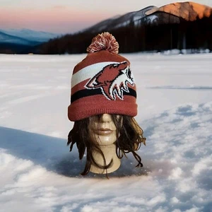MITCHELL AND NESS ARIZONA COYOTES WINTER KNIT BEANIE NEW - Picture 1 of 9