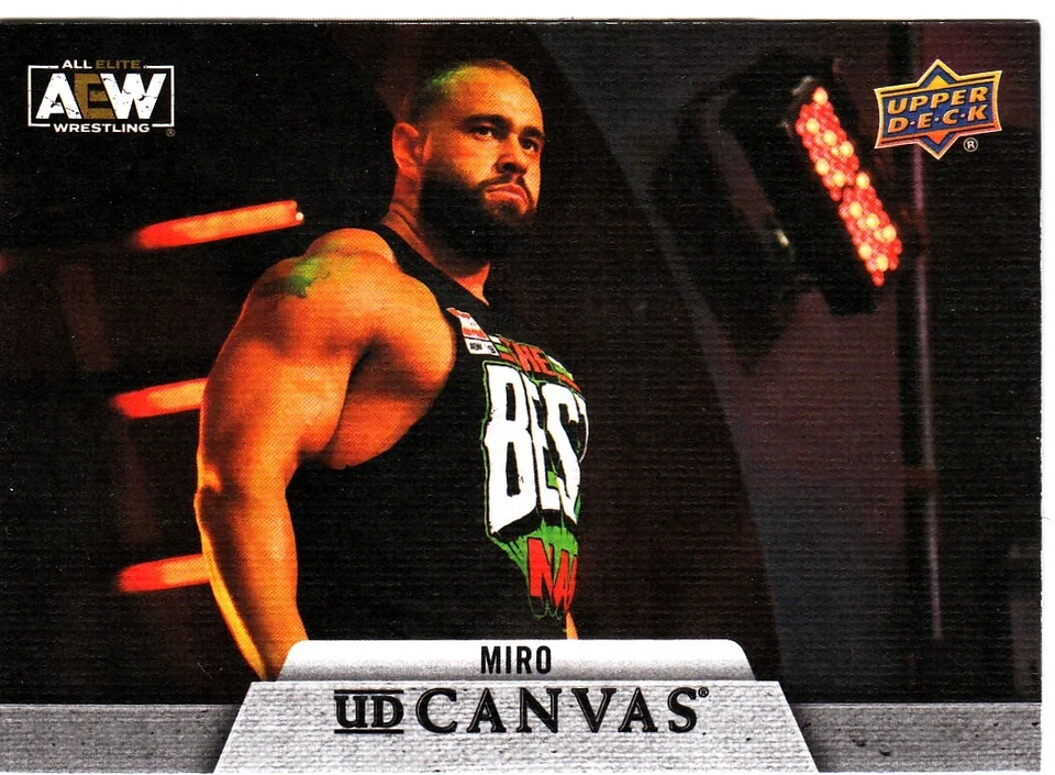 2021 Upper Deck AEW First Edition UD Canvas #C-8 MIRO - Image 1 of 1