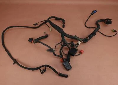 2022 16-23 HARLEY-DAVIDSON SOFTAIL FXST Wire Harness Wiring Loom - Image 1 of 4