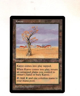MTG Karoo NM Visions Magic the Gathering ~ Free Shipping ~ - Image 1 of 2