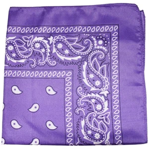 15 Pack Paisley Polyester Unisex Bandanas, Bulk Wholesale Head Scarf Assorted - Picture 1 of 4