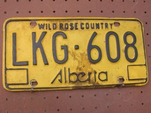 Expired ALBERTA CANADA Wild Rose Country License Plate LKG-608 - Picture 1 of 1