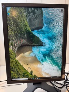 EIZO FlexScan L997 21.3in Class Color LCD Monitor Made in Japan - Picture 1 of 8