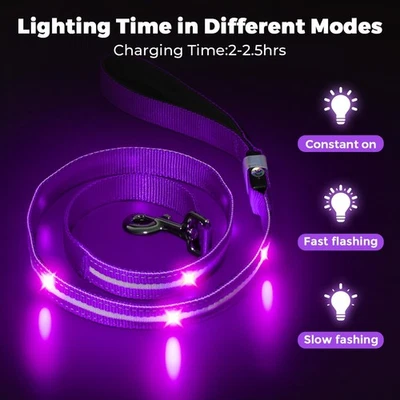 MASBRILL Purple LED Dog Lead, Light Up Dog lead for Small and Medium Dogs