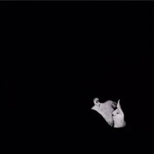 Bob Moses - Days Gone By (2xLP, Album) (Mint (M)) - 2438321606 - Picture 1 of 3
