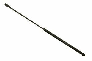 For BMW 540i 1997-2003 Stabilus Hood Lift Support (NEW)