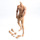 1:6 Flexible Long Neck Male Muscle Body 12?Action Figure Model Soldier Model Toy